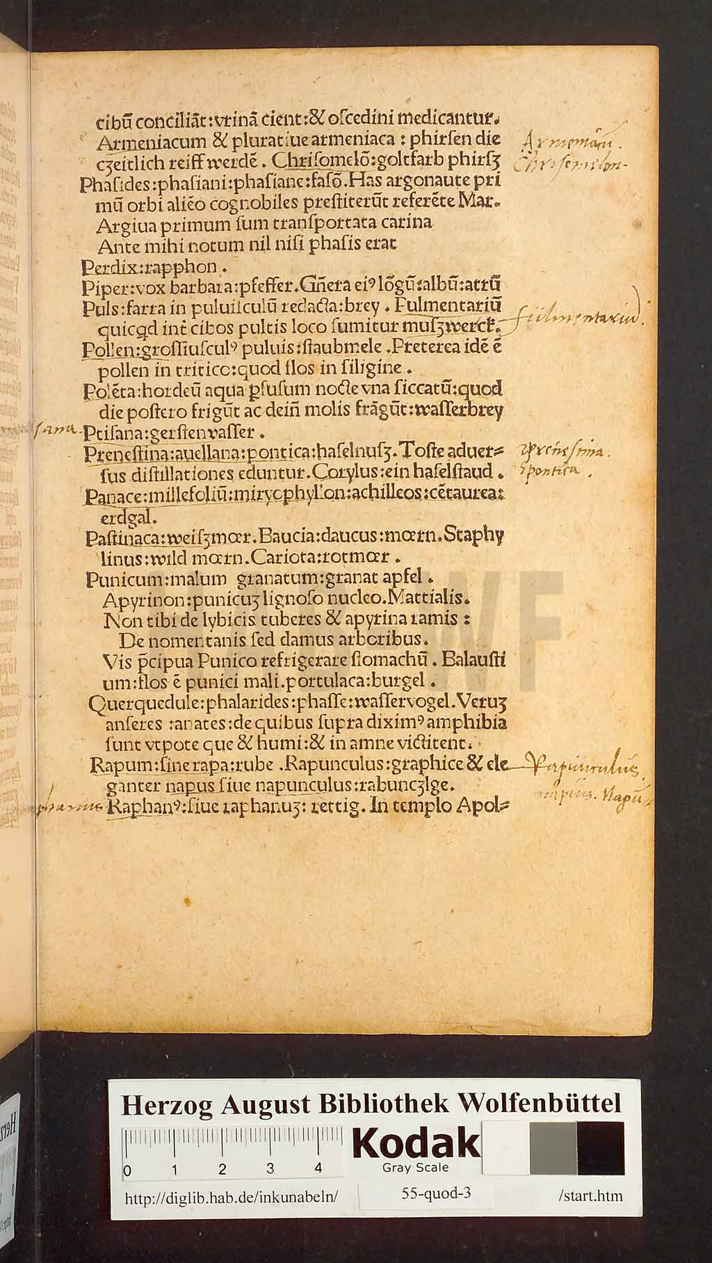 http://diglib.hab.de/inkunabeln/55-quod-3/00019.jpg