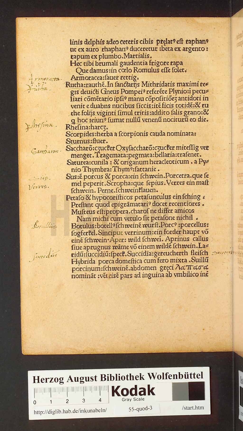 http://diglib.hab.de/inkunabeln/55-quod-3/00020.jpg