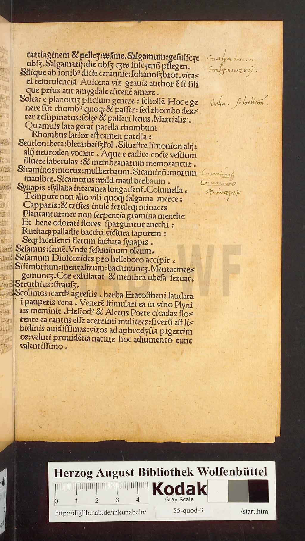 http://diglib.hab.de/inkunabeln/55-quod-3/00021.jpg
