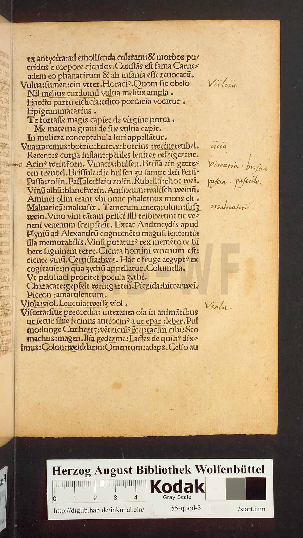 http://diglib.hab.de/inkunabeln/55-quod-3/00023.jpg