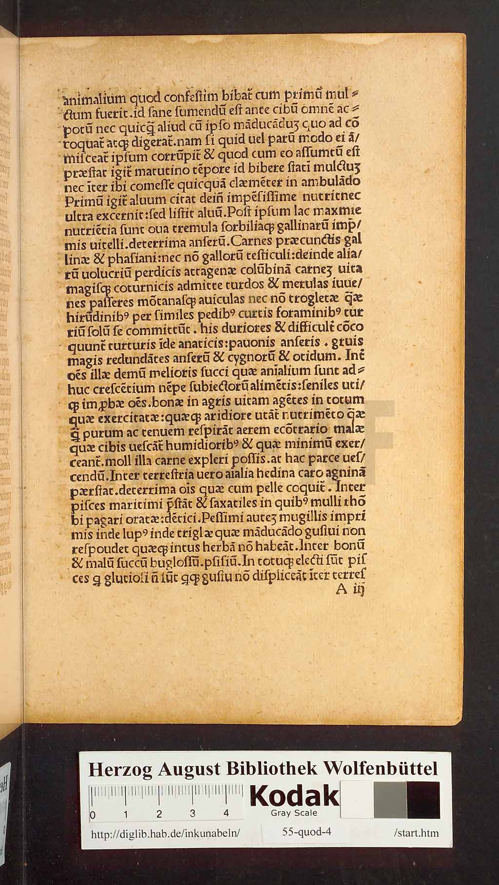 http://diglib.hab.de/inkunabeln/55-quod-4/00005.jpg