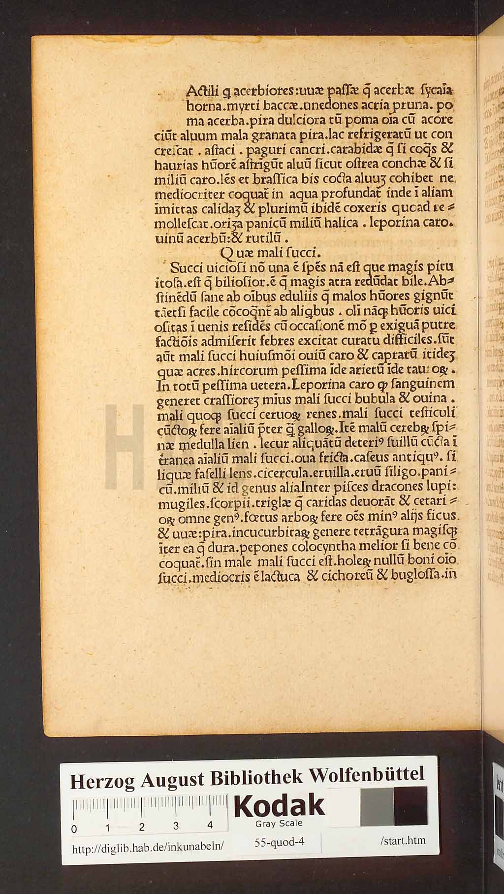 http://diglib.hab.de/inkunabeln/55-quod-4/00010.jpg