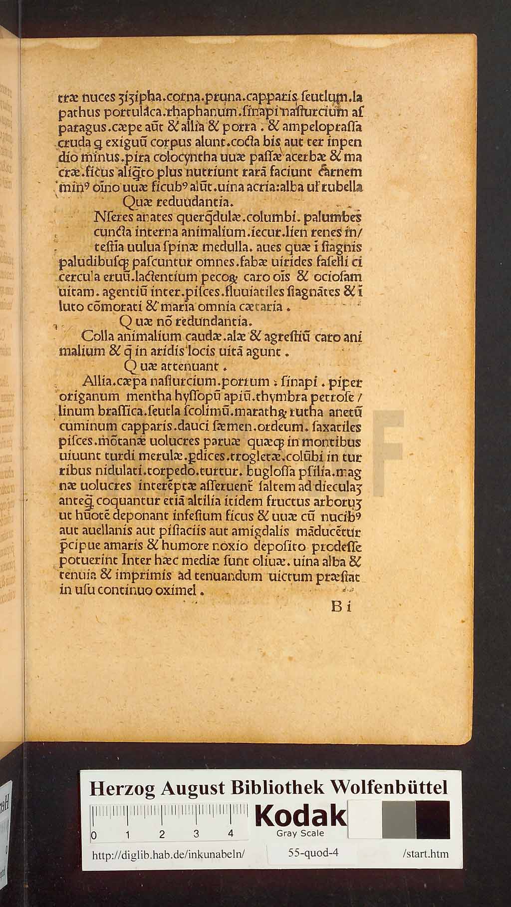 http://diglib.hab.de/inkunabeln/55-quod-4/00013.jpg