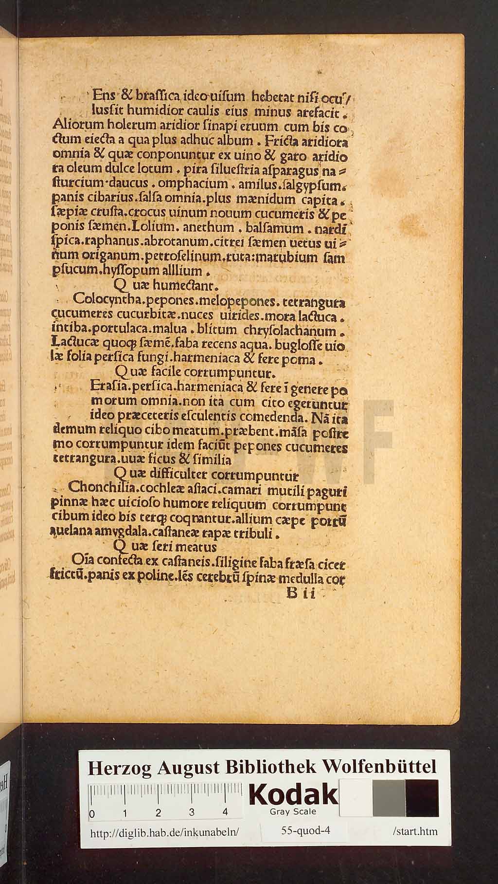 http://diglib.hab.de/inkunabeln/55-quod-4/00015.jpg