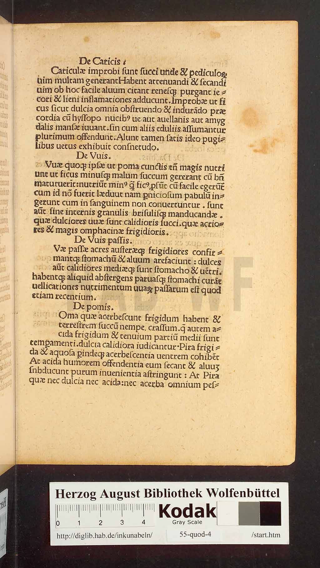 http://diglib.hab.de/inkunabeln/55-quod-4/00019.jpg