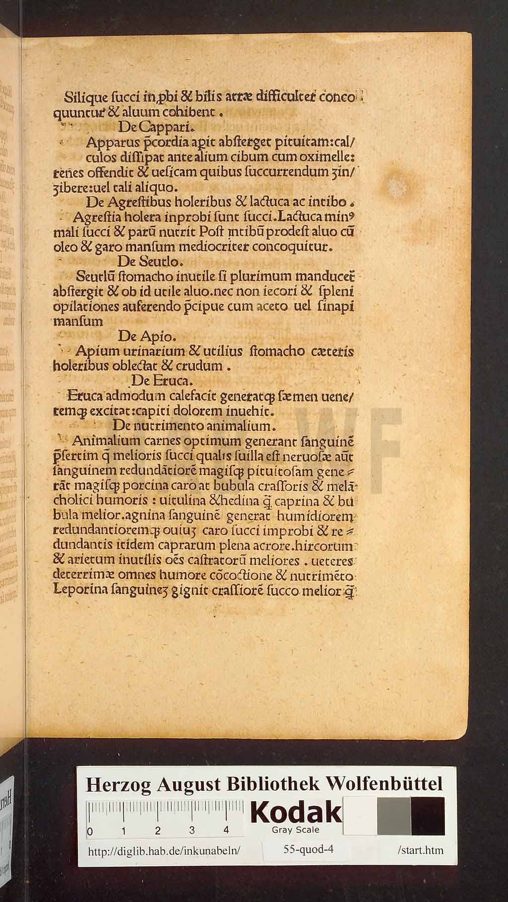http://diglib.hab.de/inkunabeln/55-quod-4/00021.jpg