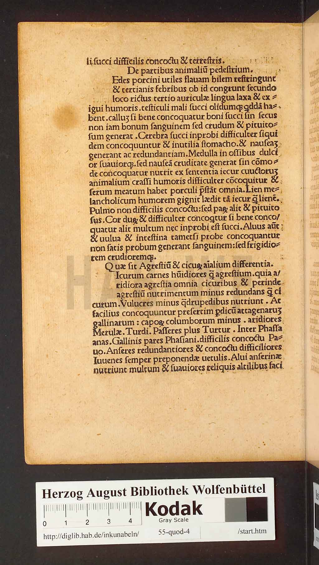 http://diglib.hab.de/inkunabeln/55-quod-4/00022.jpg