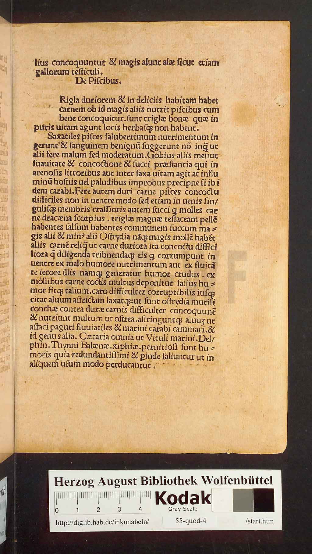 http://diglib.hab.de/inkunabeln/55-quod-4/00023.jpg
