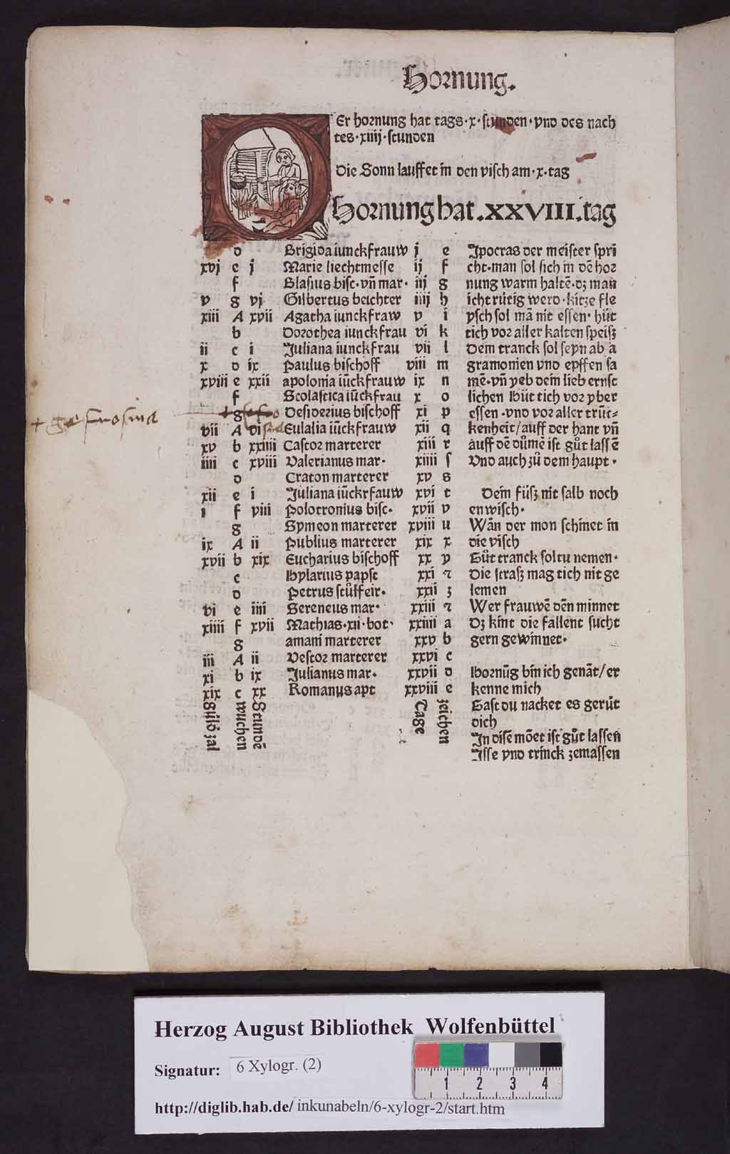 http://diglib.hab.de/inkunabeln/6-xylogr-2/00006.jpg