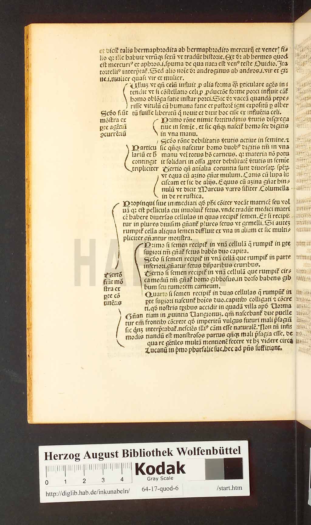 http://diglib.hab.de/inkunabeln/64-17-quod-6/00064.jpg