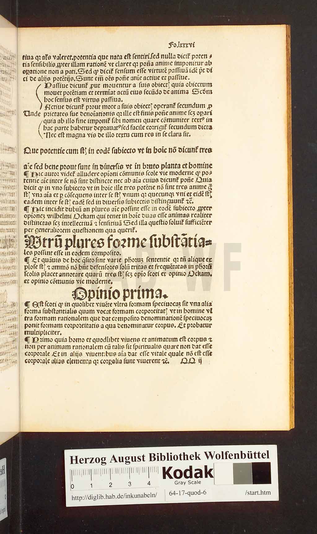 http://diglib.hab.de/inkunabeln/64-17-quod-6/00171.jpg