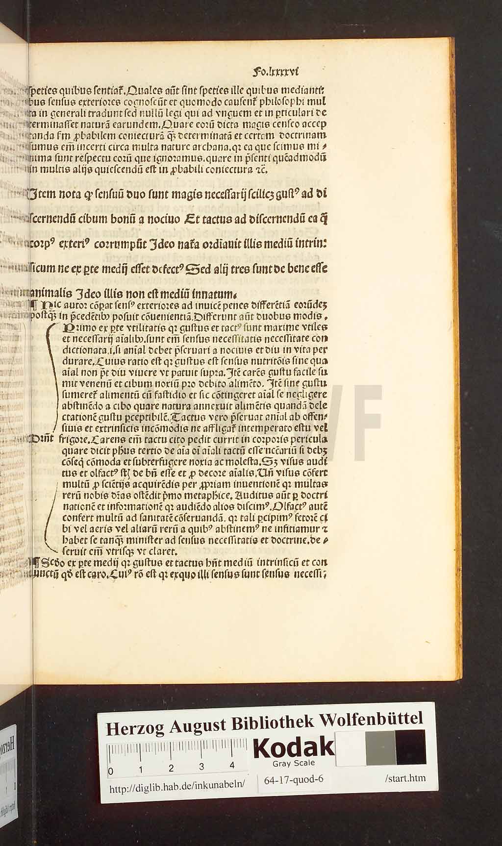 http://diglib.hab.de/inkunabeln/64-17-quod-6/00191.jpg