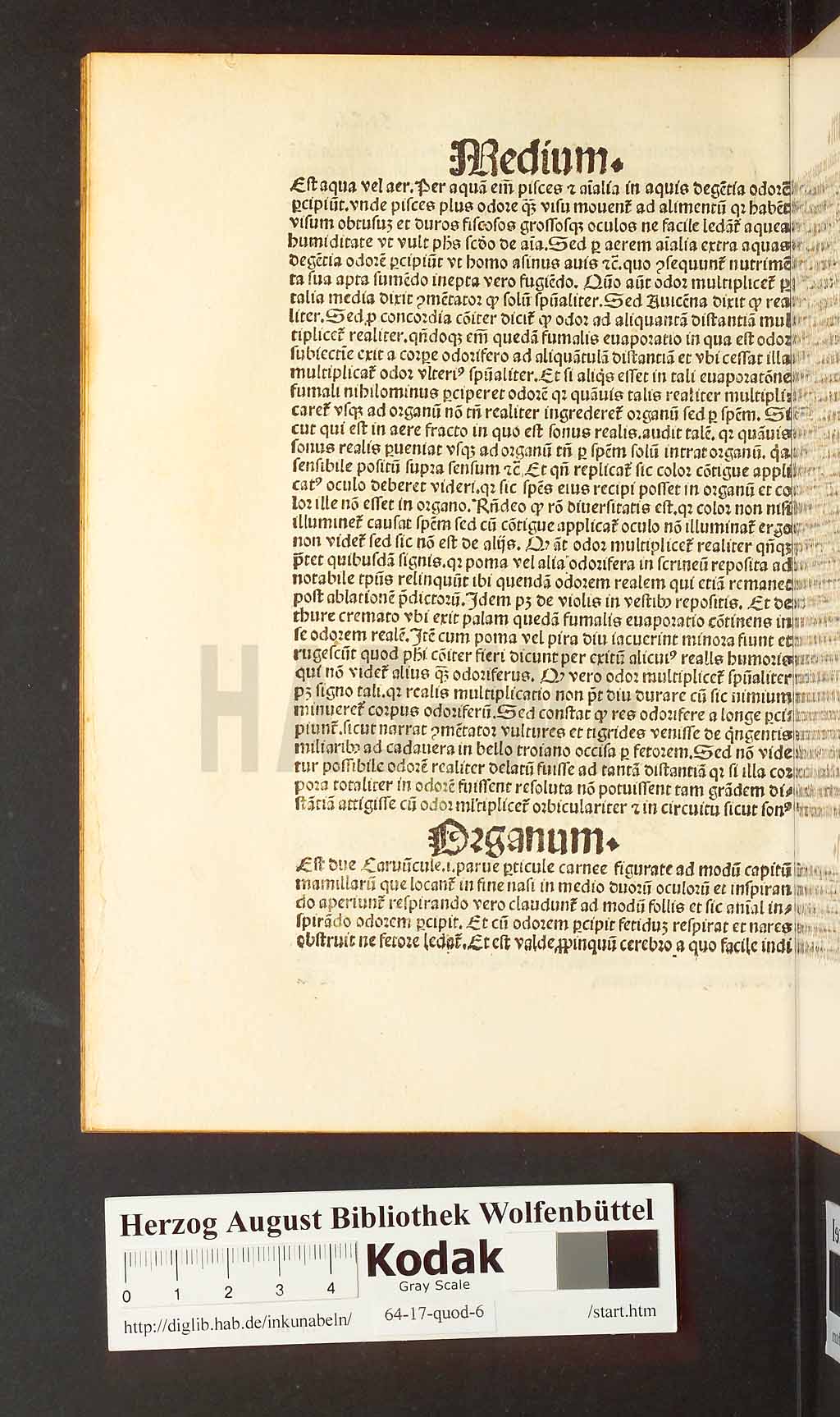 http://diglib.hab.de/inkunabeln/64-17-quod-6/00202.jpg