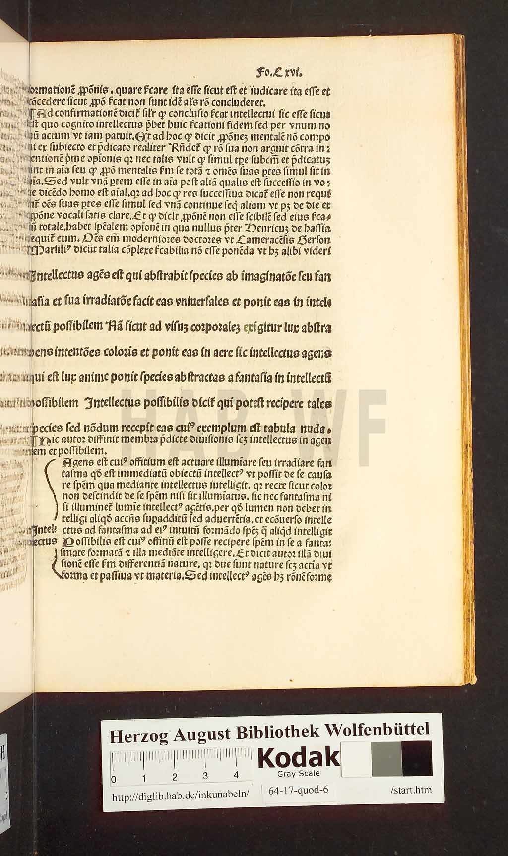 http://diglib.hab.de/inkunabeln/64-17-quod-6/00231.jpg