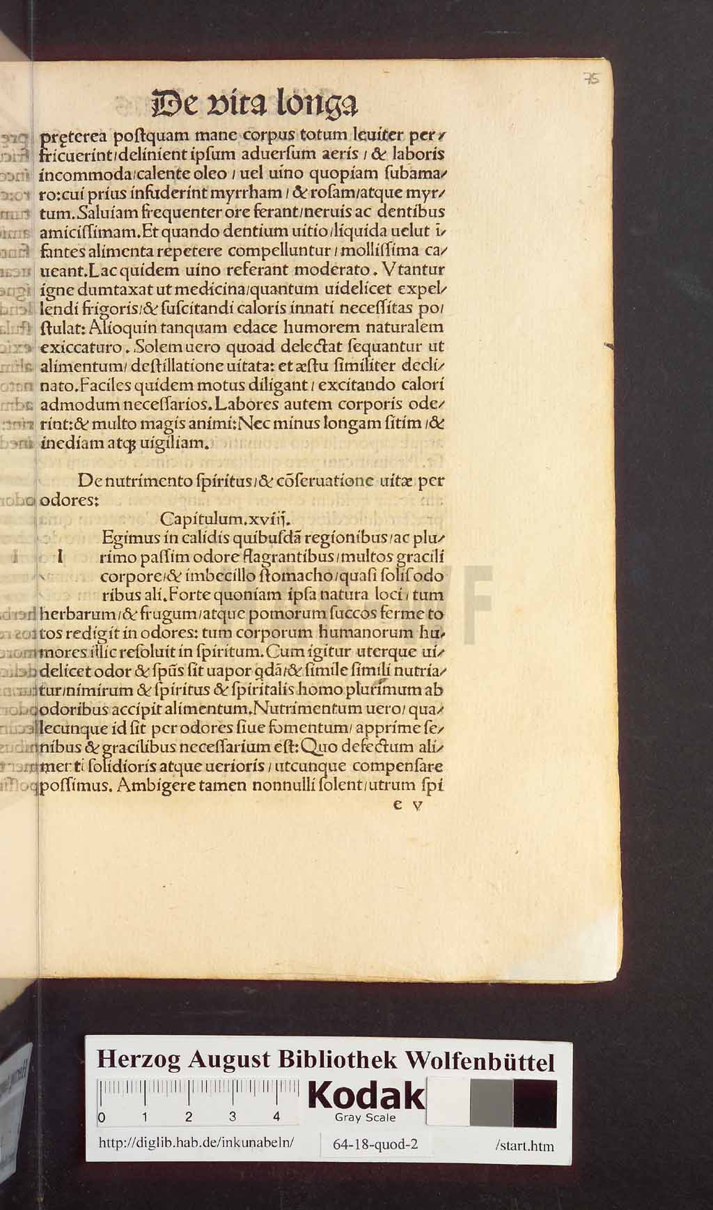http://diglib.hab.de/inkunabeln/64-18-quod-2/00073.jpg