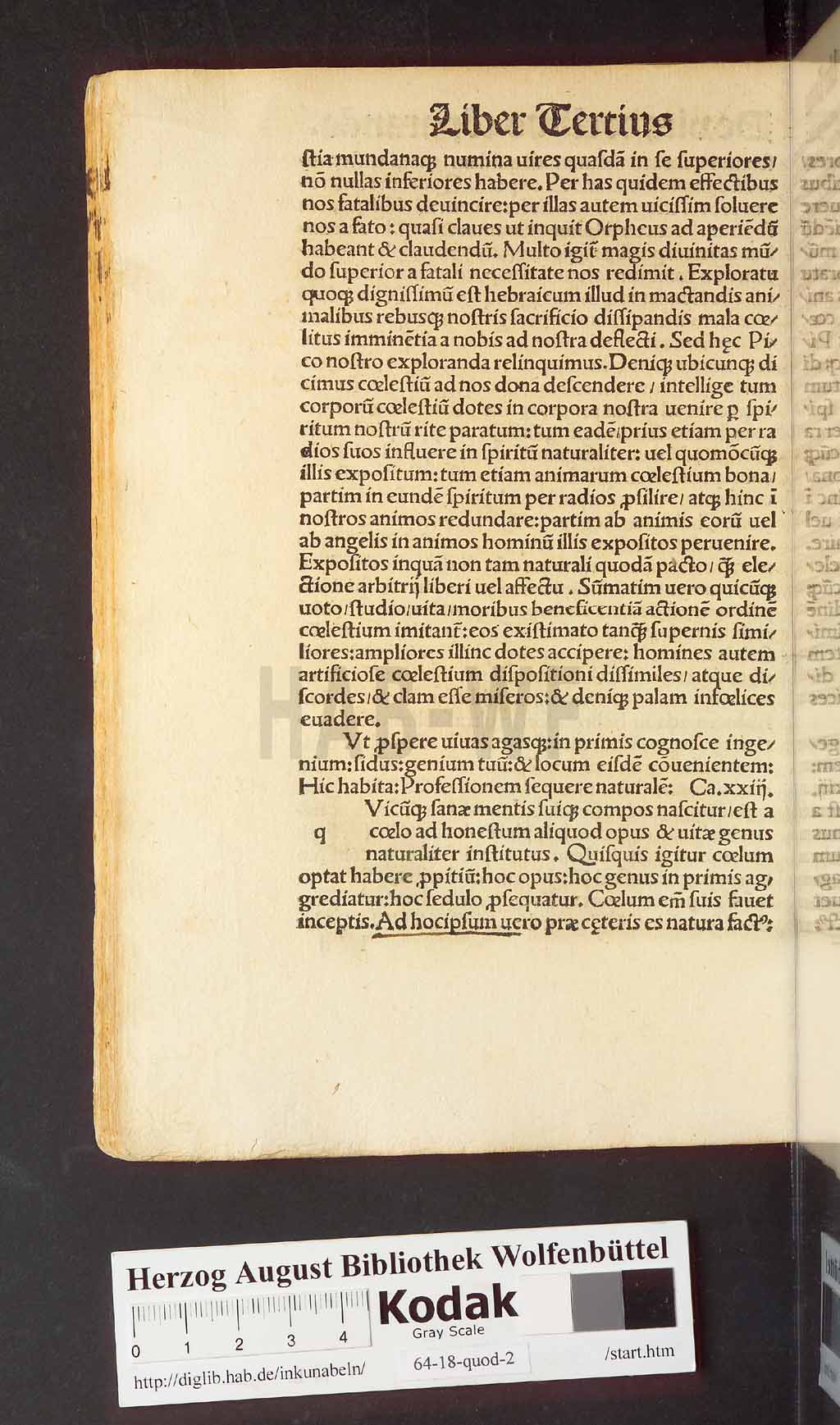http://diglib.hab.de/inkunabeln/64-18-quod-2/00164.jpg