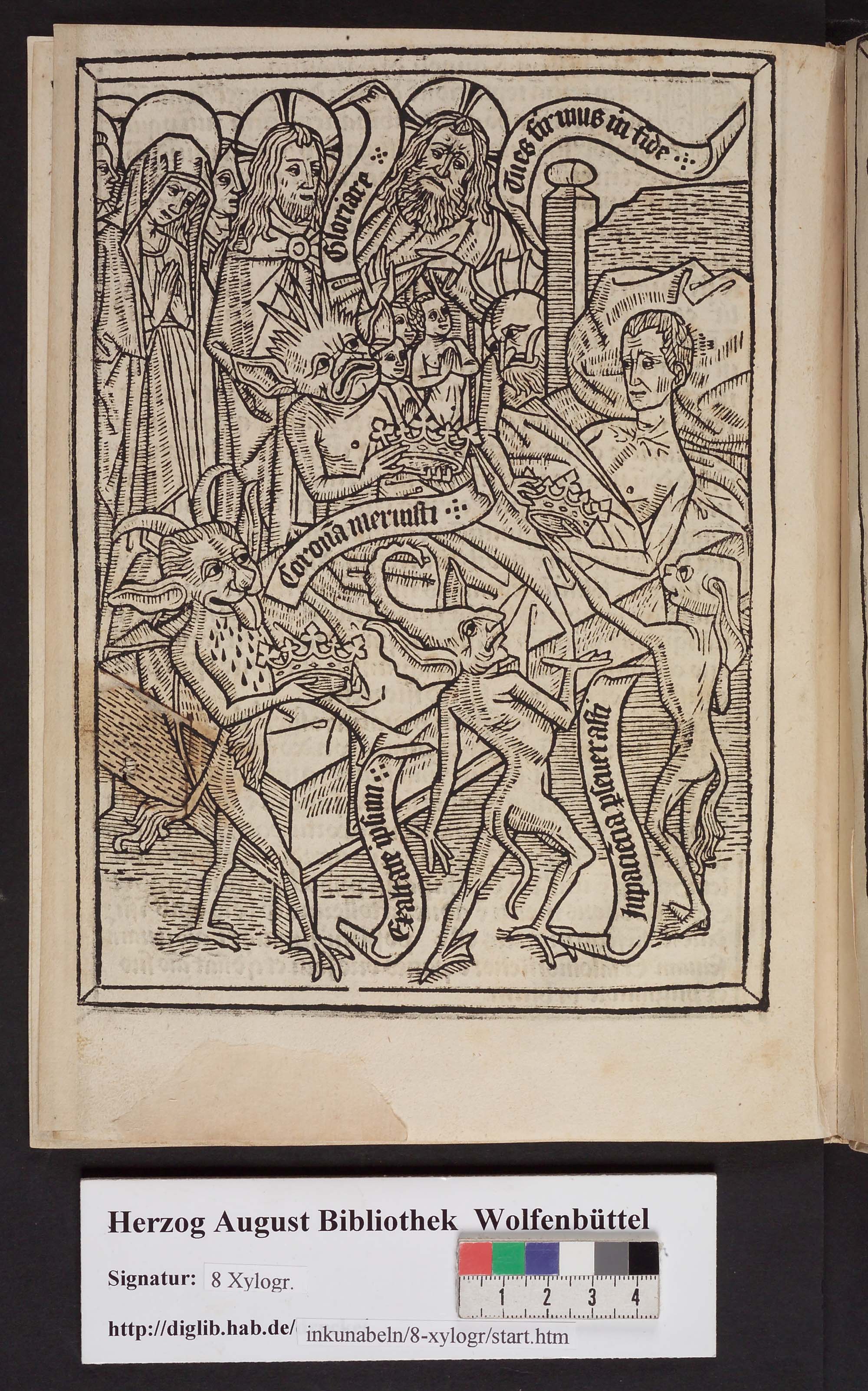 http://diglib.hab.de/inkunabeln/8-xylogr/max/00022.jpg