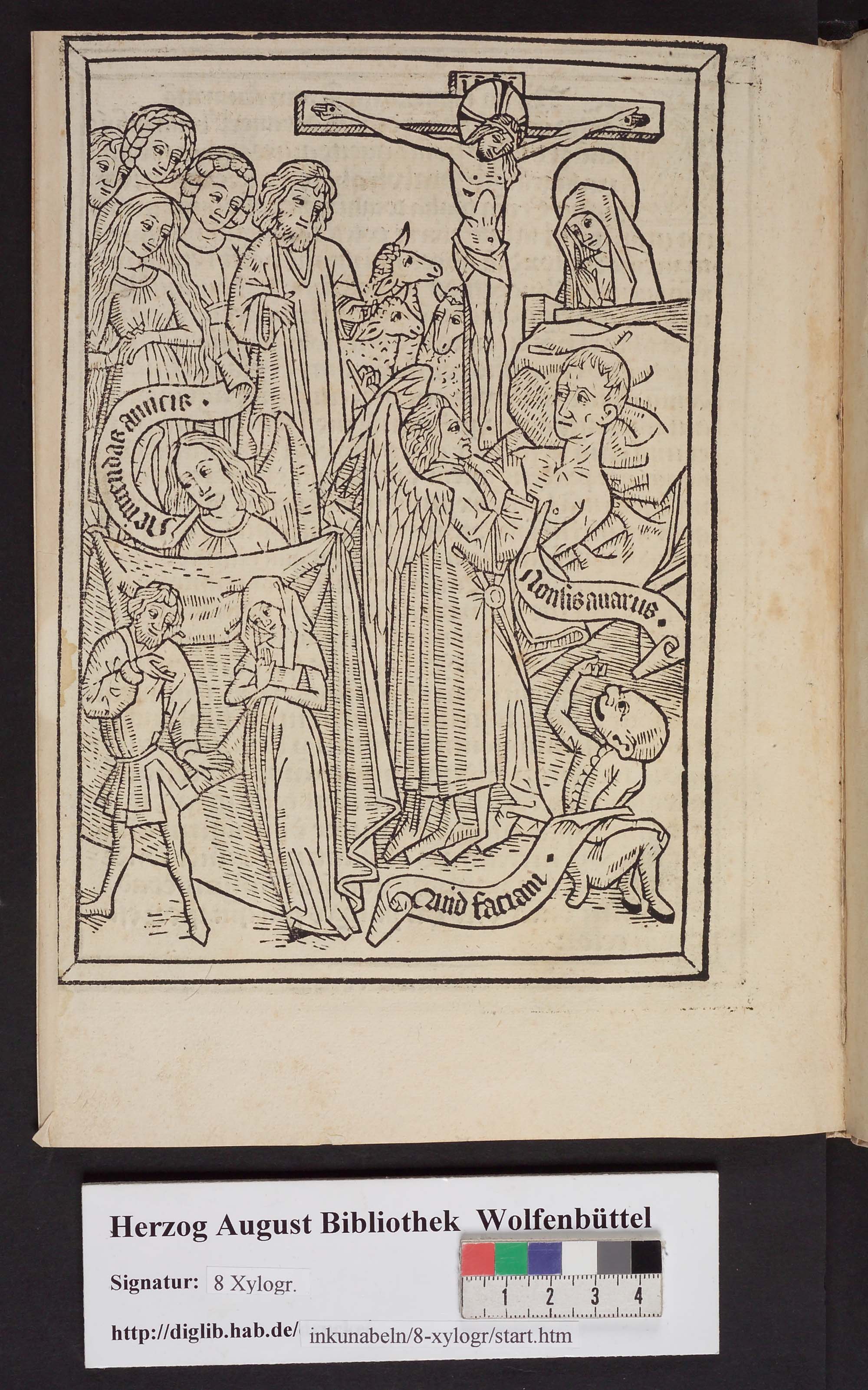 http://diglib.hab.de/inkunabeln/8-xylogr/max/00028.jpg