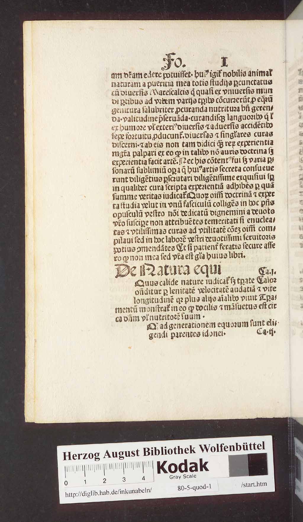 http://diglib.hab.de/inkunabeln/80-5-quod-1/00014.jpg