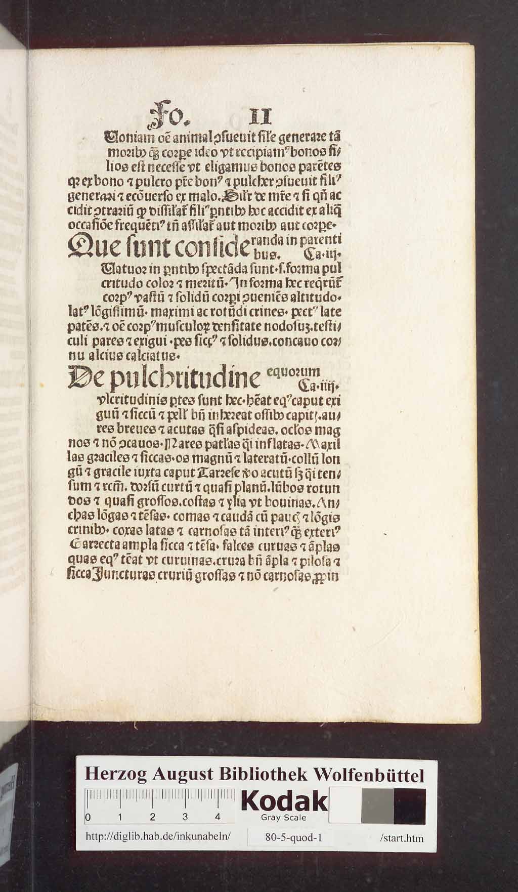 http://diglib.hab.de/inkunabeln/80-5-quod-1/00015.jpg