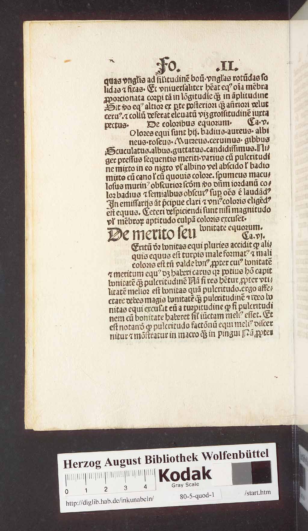http://diglib.hab.de/inkunabeln/80-5-quod-1/00016.jpg