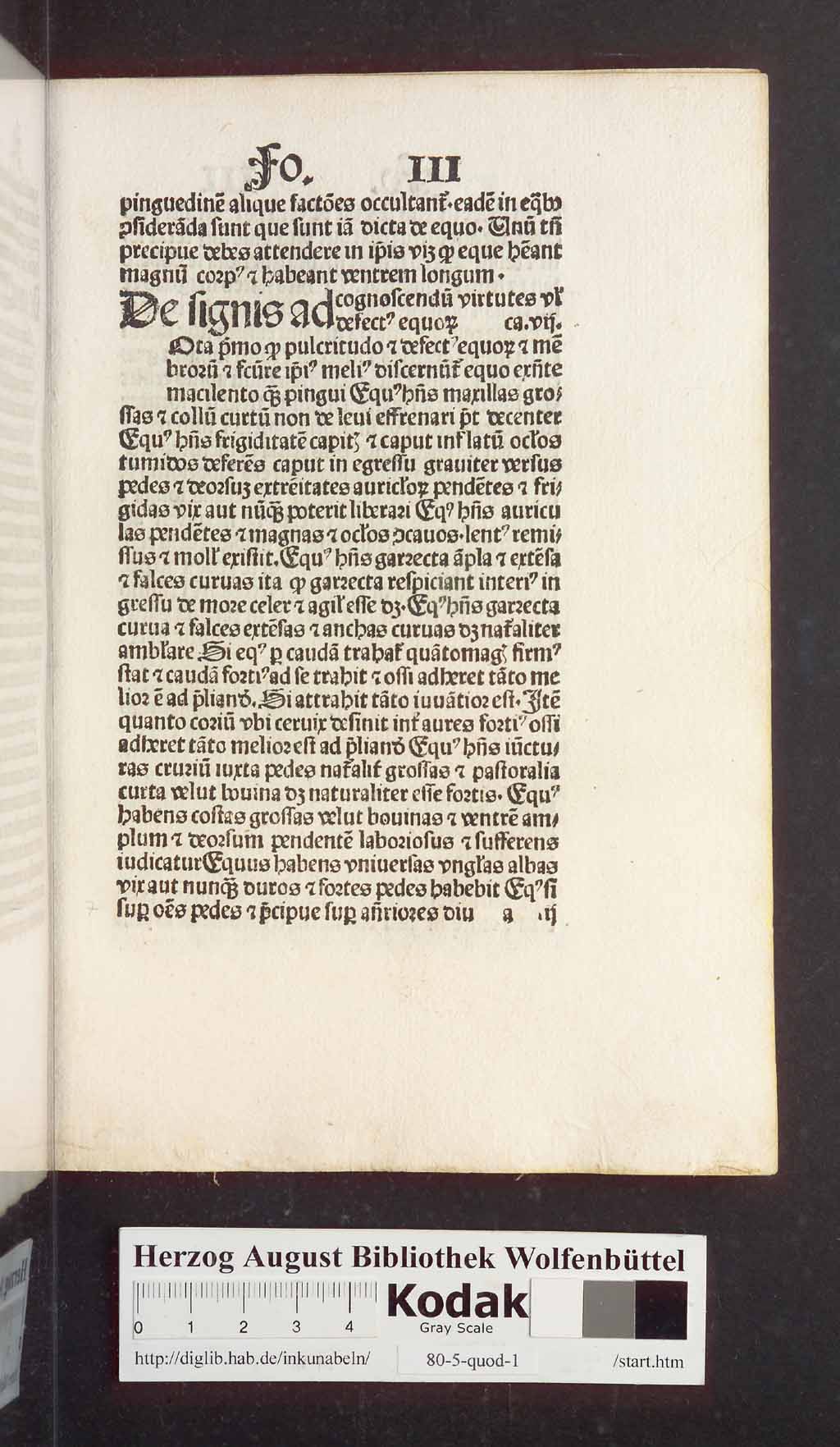 http://diglib.hab.de/inkunabeln/80-5-quod-1/00017.jpg