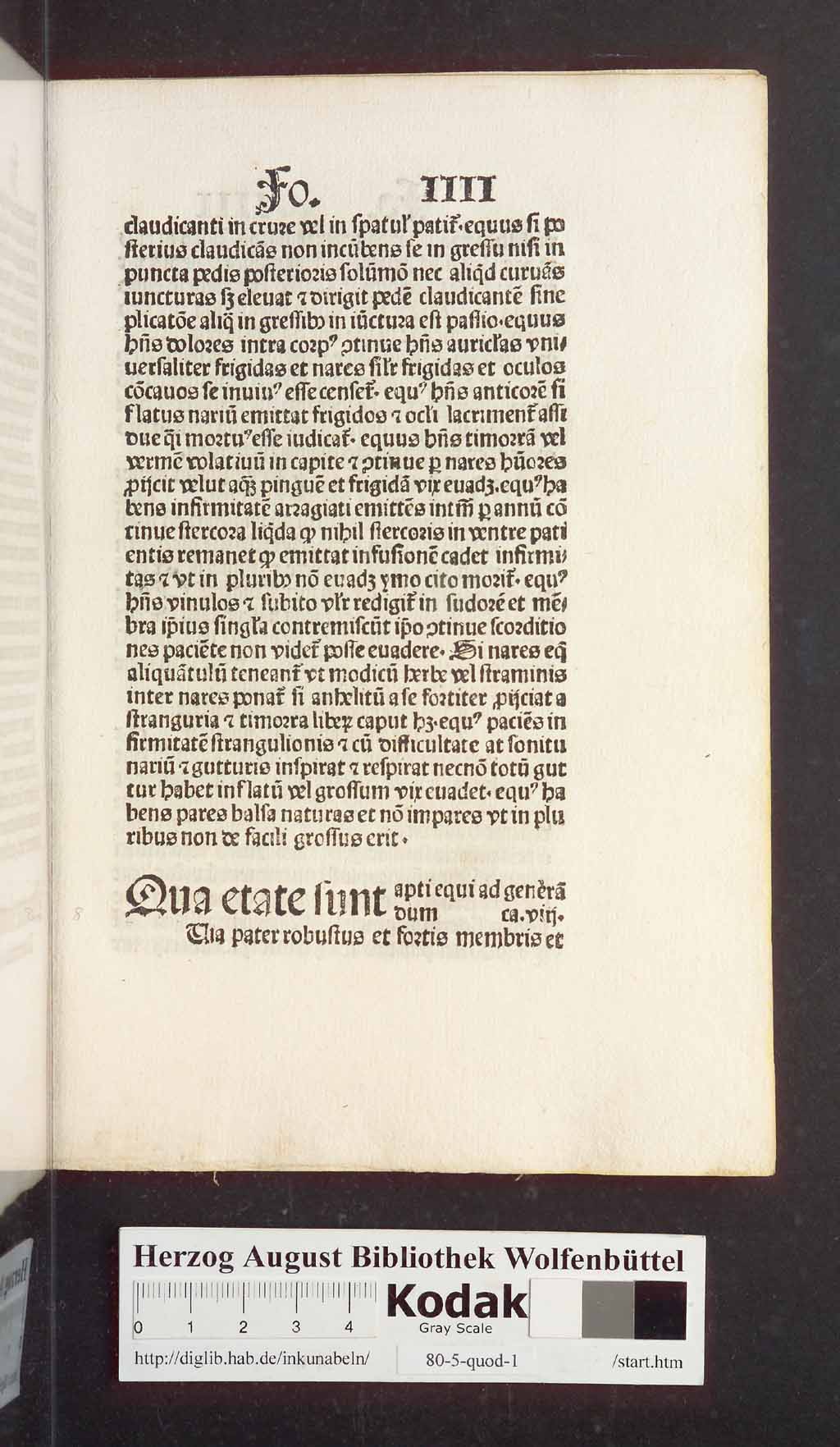 http://diglib.hab.de/inkunabeln/80-5-quod-1/00019.jpg