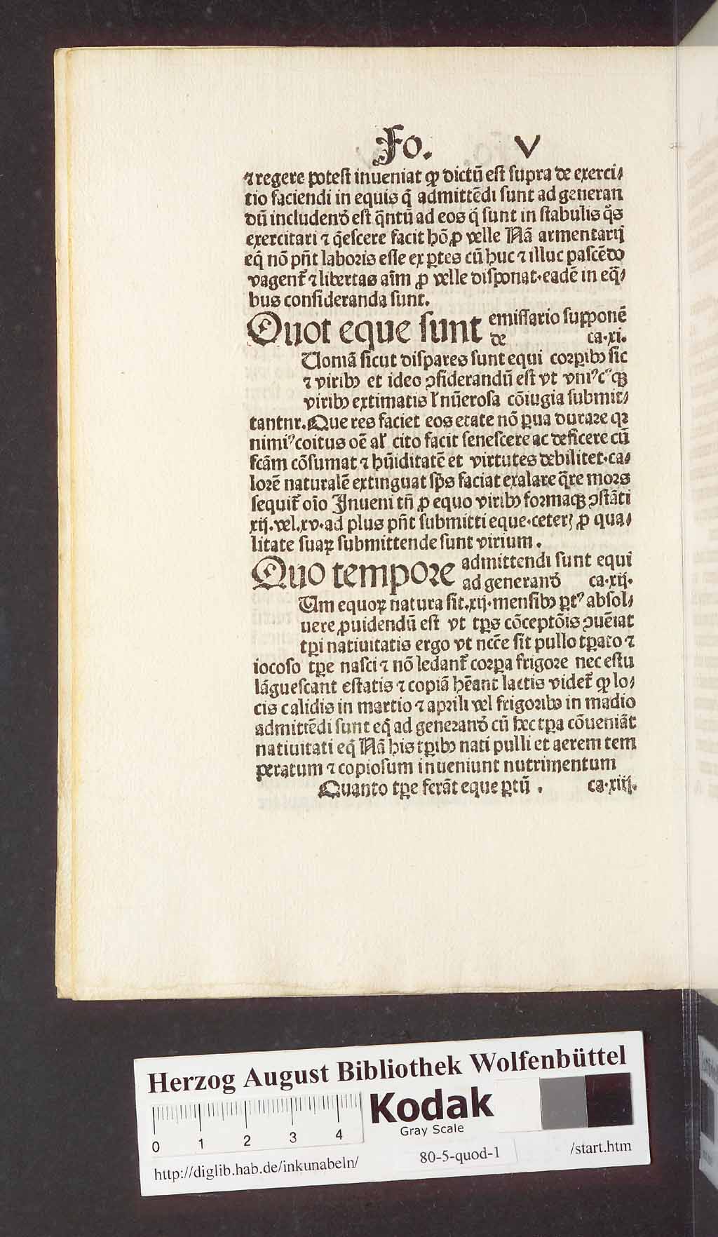 http://diglib.hab.de/inkunabeln/80-5-quod-1/00022.jpg