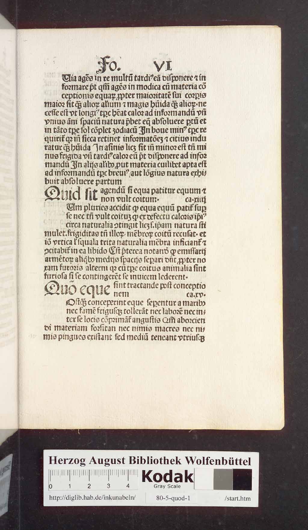 http://diglib.hab.de/inkunabeln/80-5-quod-1/00023.jpg