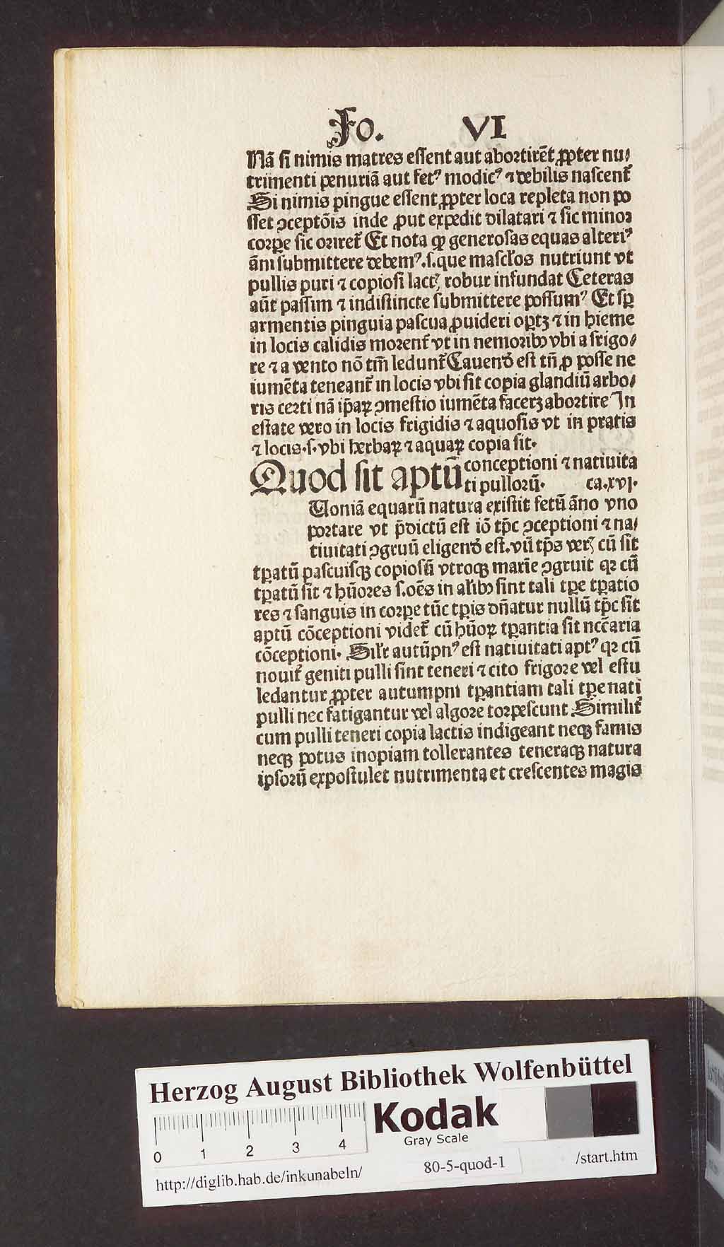 http://diglib.hab.de/inkunabeln/80-5-quod-1/00024.jpg