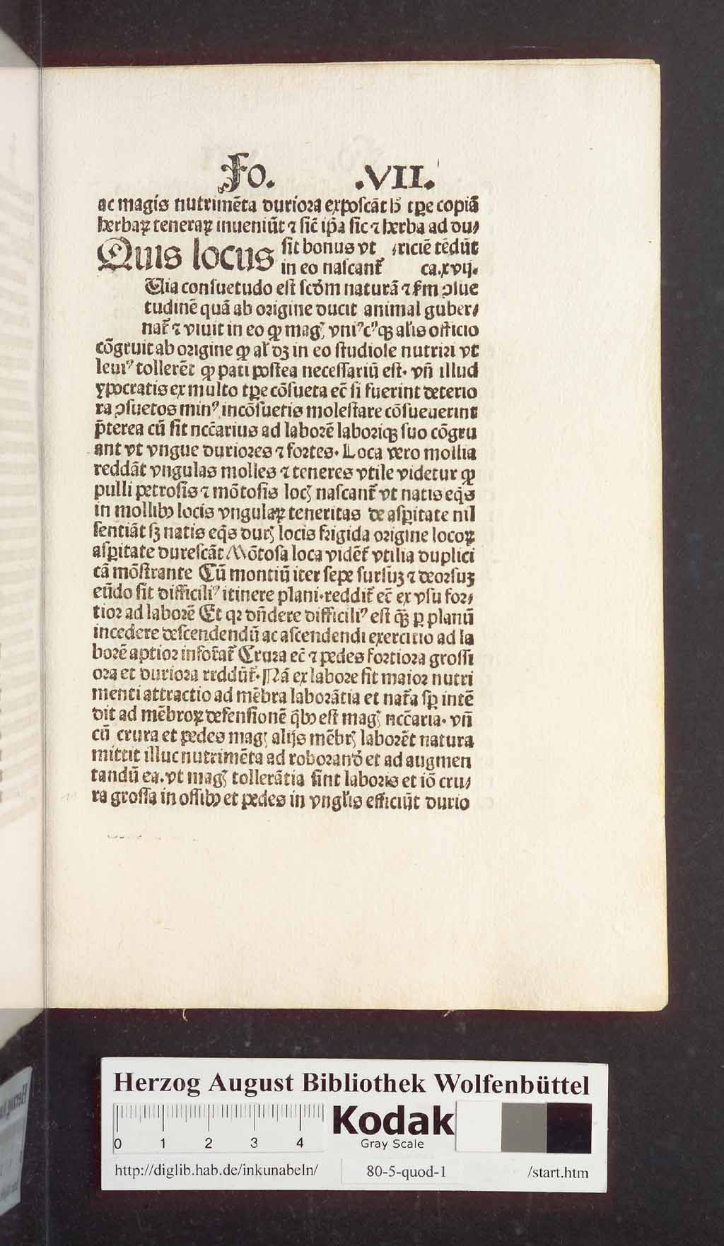 http://diglib.hab.de/inkunabeln/80-5-quod-1/00025.jpg