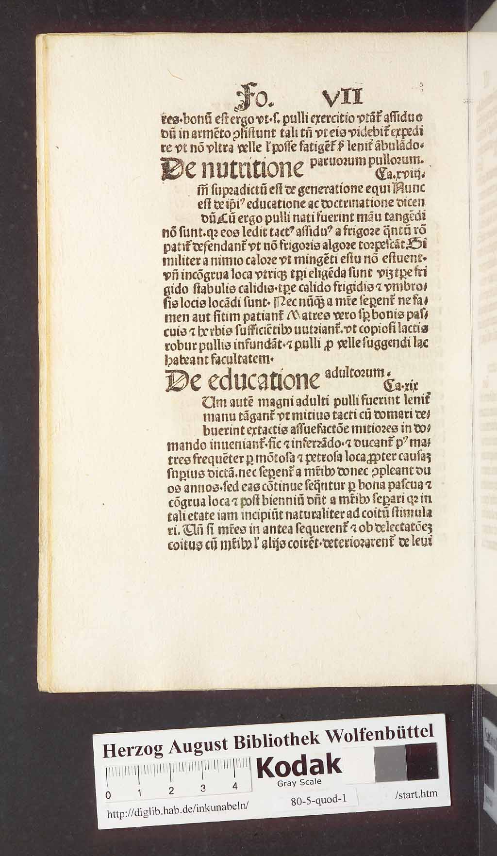 http://diglib.hab.de/inkunabeln/80-5-quod-1/00026.jpg