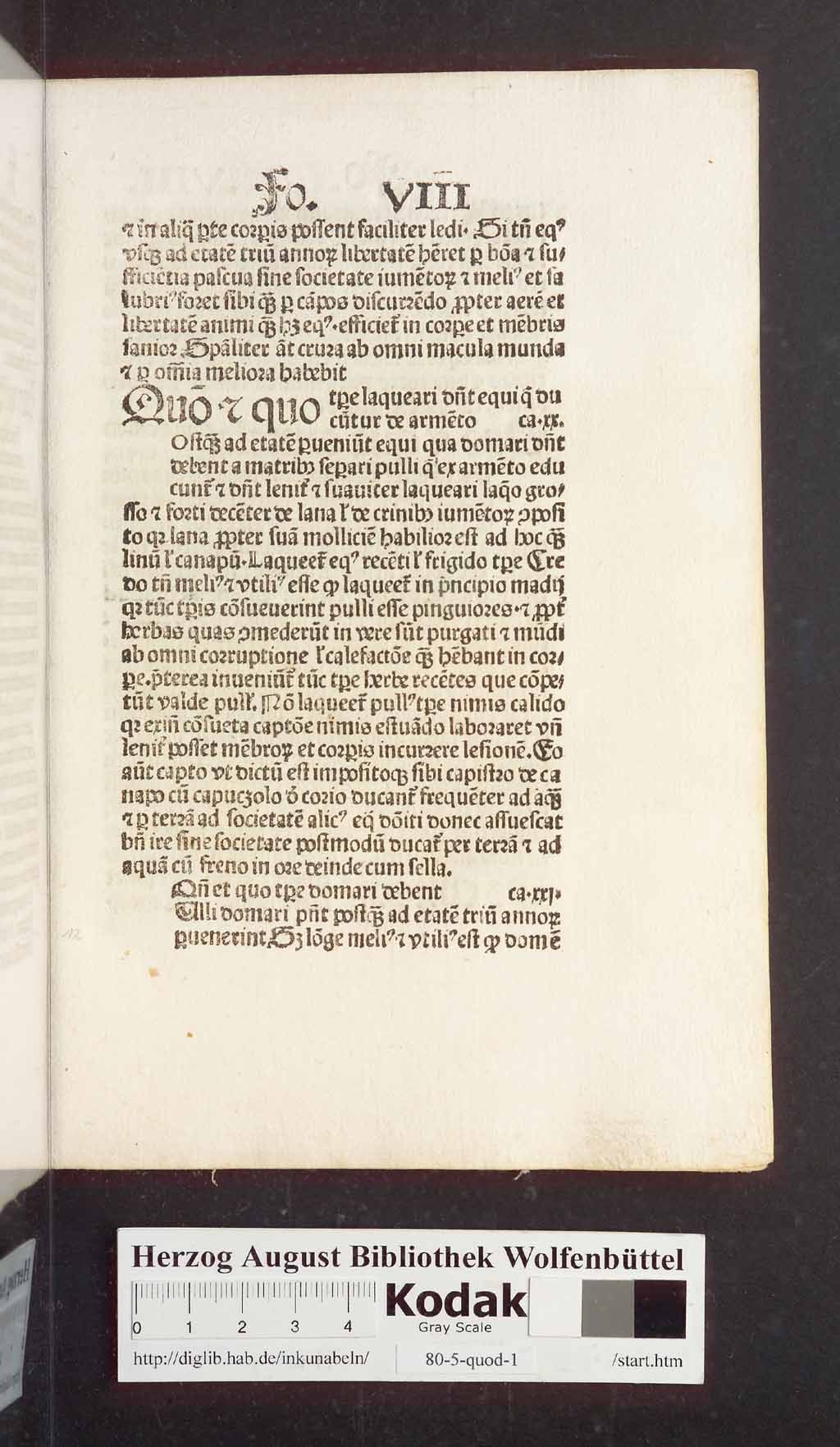 http://diglib.hab.de/inkunabeln/80-5-quod-1/00027.jpg