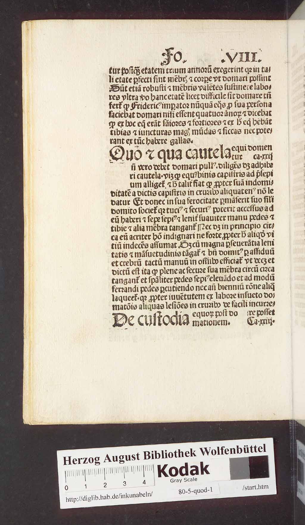 http://diglib.hab.de/inkunabeln/80-5-quod-1/00028.jpg