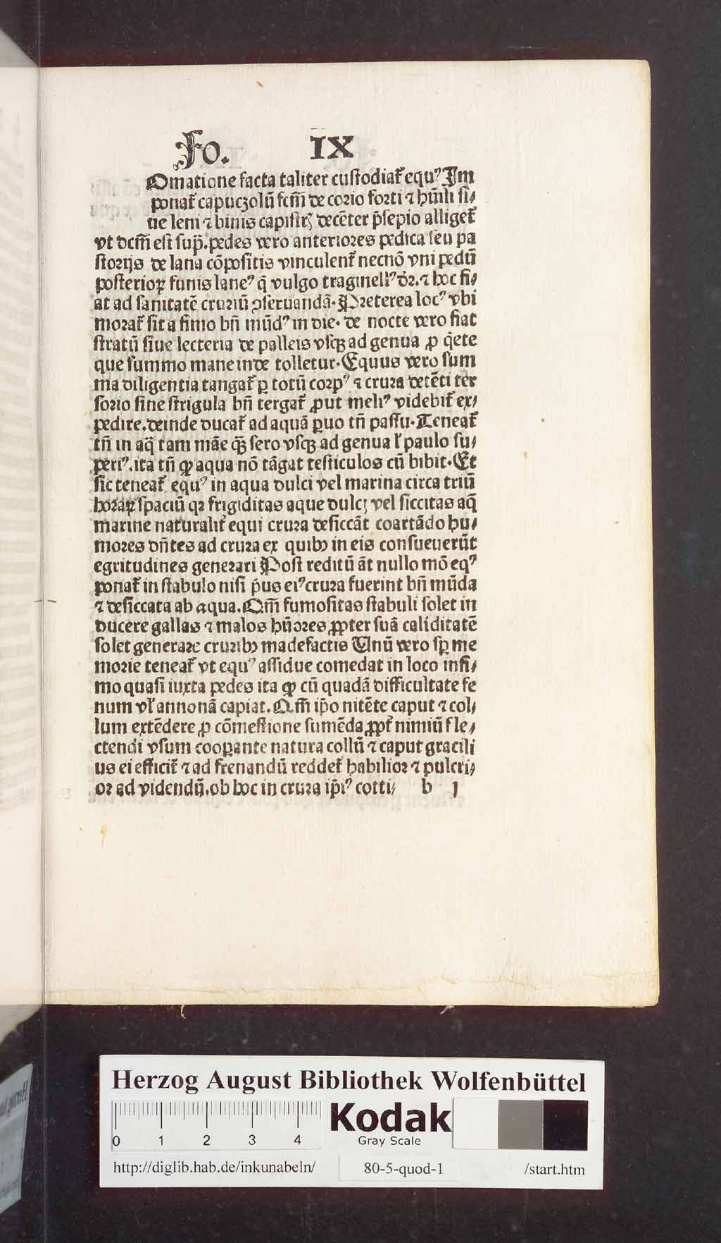 http://diglib.hab.de/inkunabeln/80-5-quod-1/00029.jpg