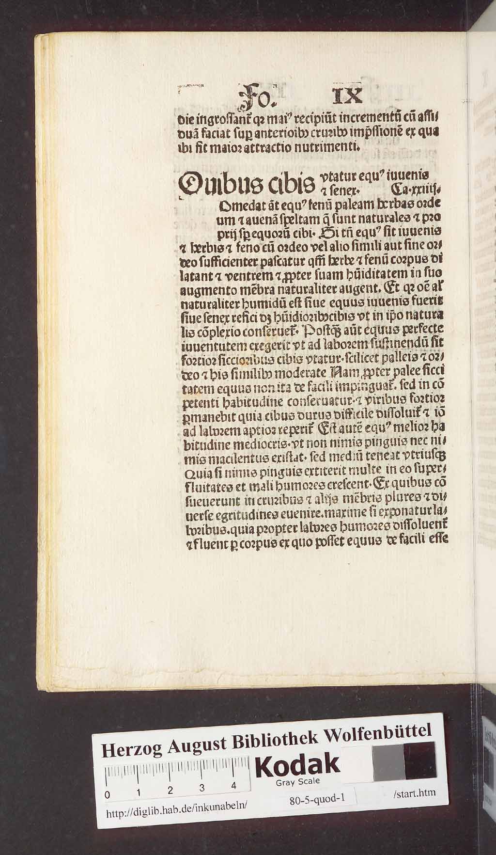 http://diglib.hab.de/inkunabeln/80-5-quod-1/00030.jpg