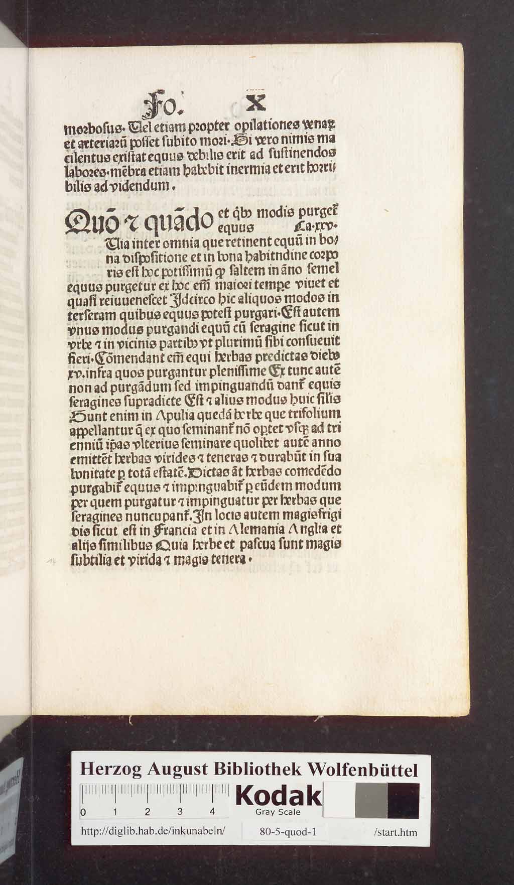 http://diglib.hab.de/inkunabeln/80-5-quod-1/00031.jpg