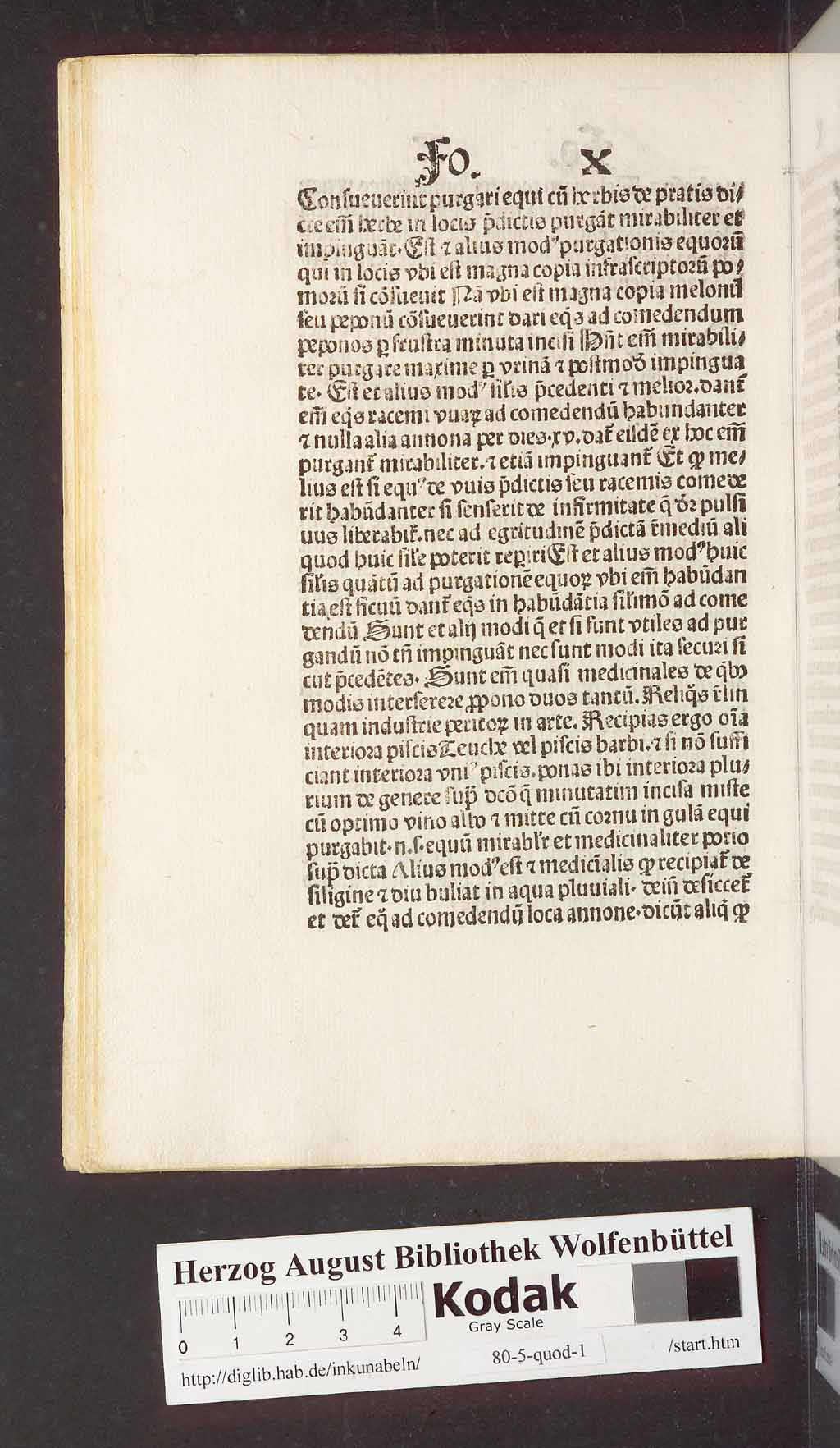 http://diglib.hab.de/inkunabeln/80-5-quod-1/00032.jpg