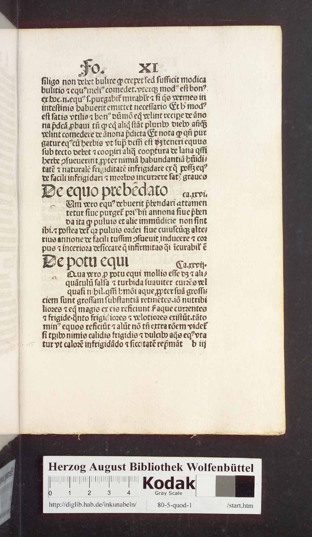 http://diglib.hab.de/inkunabeln/80-5-quod-1/00033.jpg