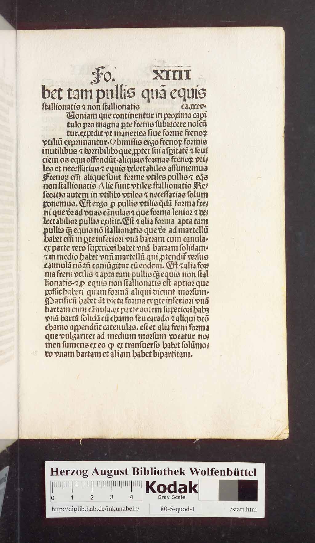 http://diglib.hab.de/inkunabeln/80-5-quod-1/00039.jpg
