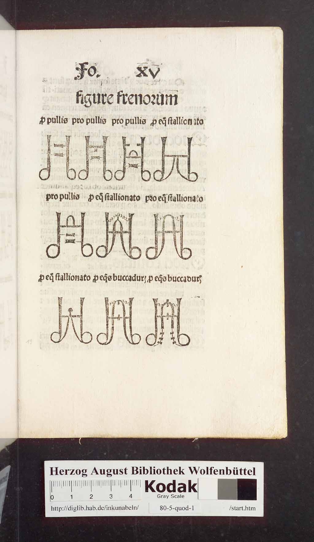 http://diglib.hab.de/inkunabeln/80-5-quod-1/00041.jpg