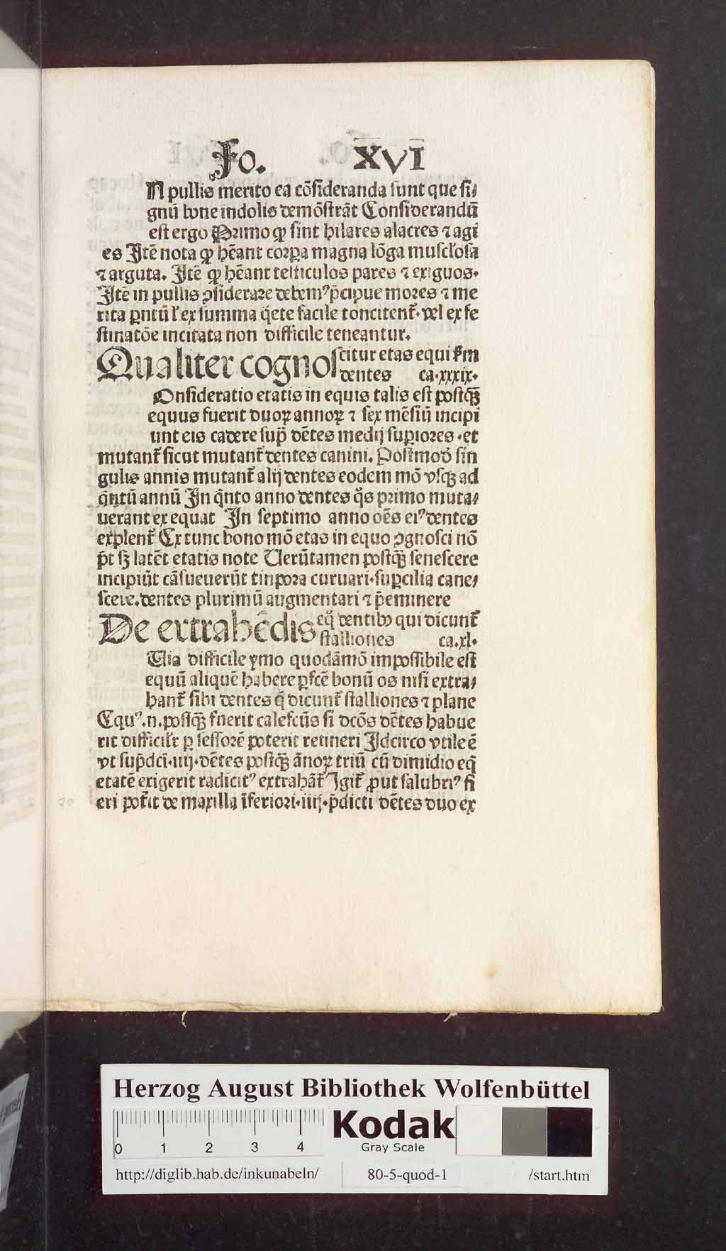 http://diglib.hab.de/inkunabeln/80-5-quod-1/00043.jpg