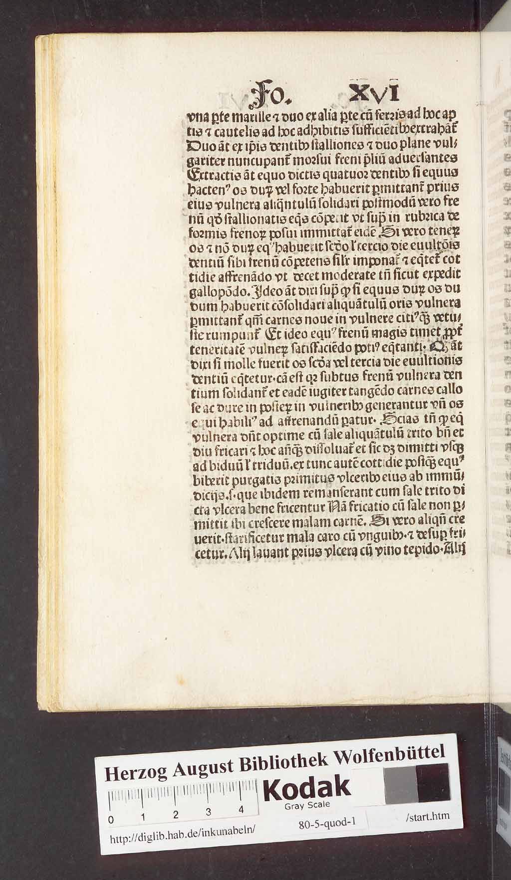 http://diglib.hab.de/inkunabeln/80-5-quod-1/00044.jpg