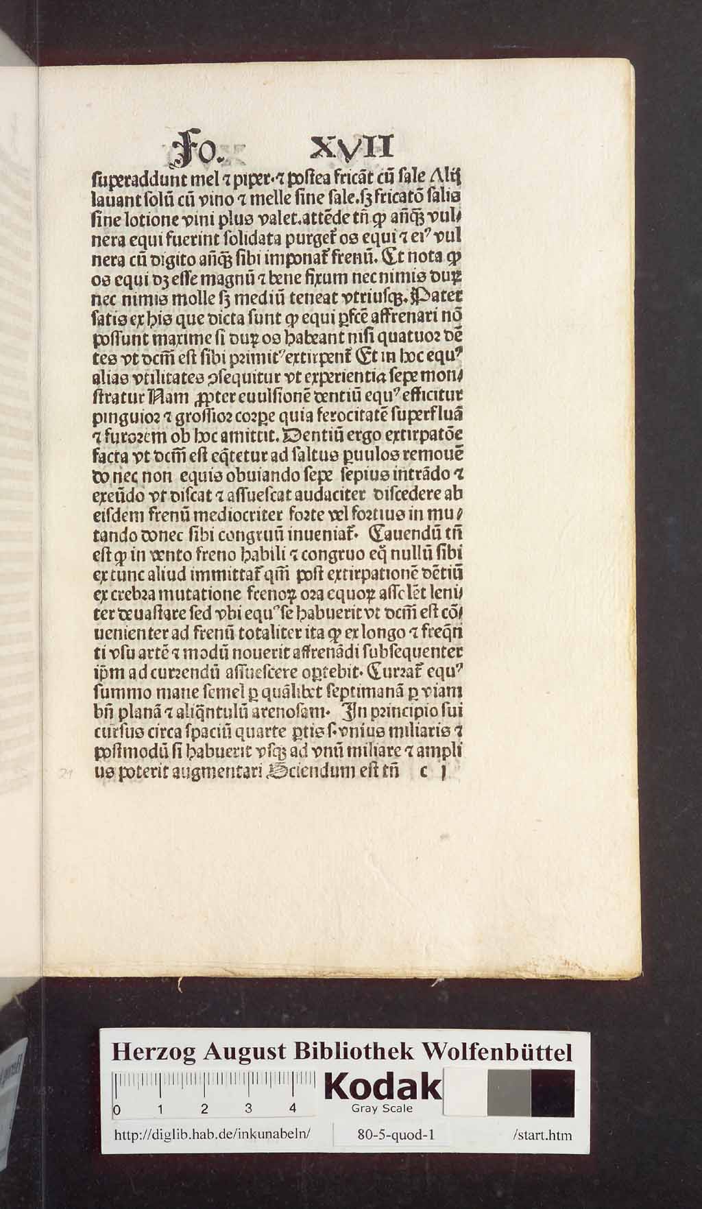 http://diglib.hab.de/inkunabeln/80-5-quod-1/00045.jpg