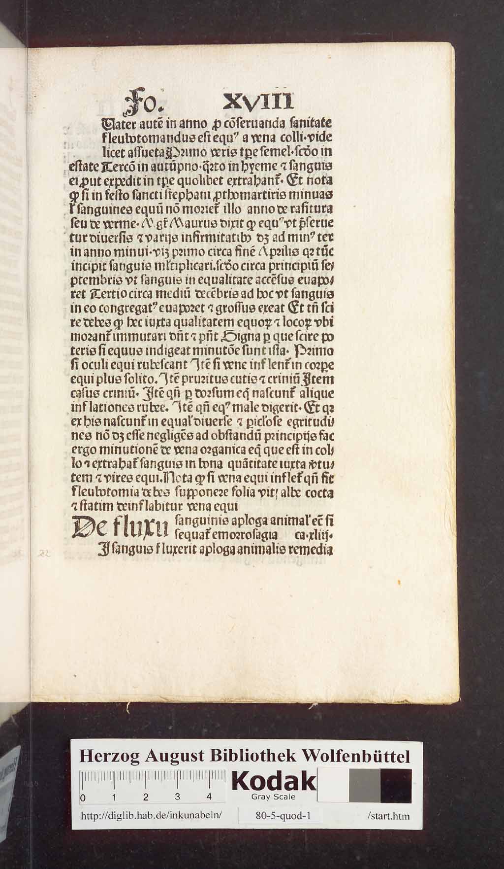 http://diglib.hab.de/inkunabeln/80-5-quod-1/00047.jpg
