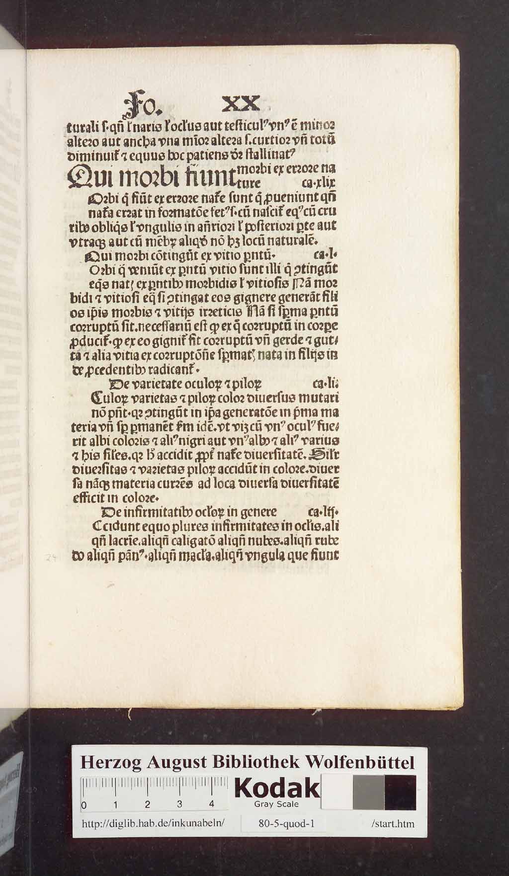 http://diglib.hab.de/inkunabeln/80-5-quod-1/00051.jpg