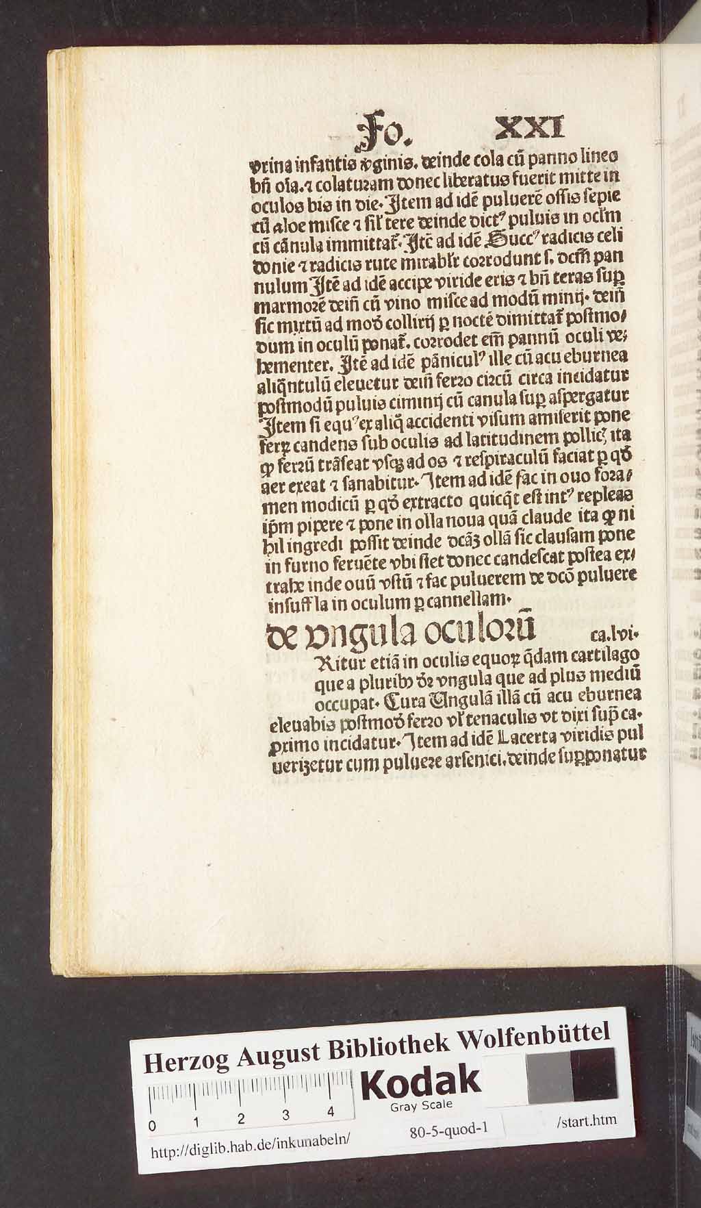 http://diglib.hab.de/inkunabeln/80-5-quod-1/00054.jpg