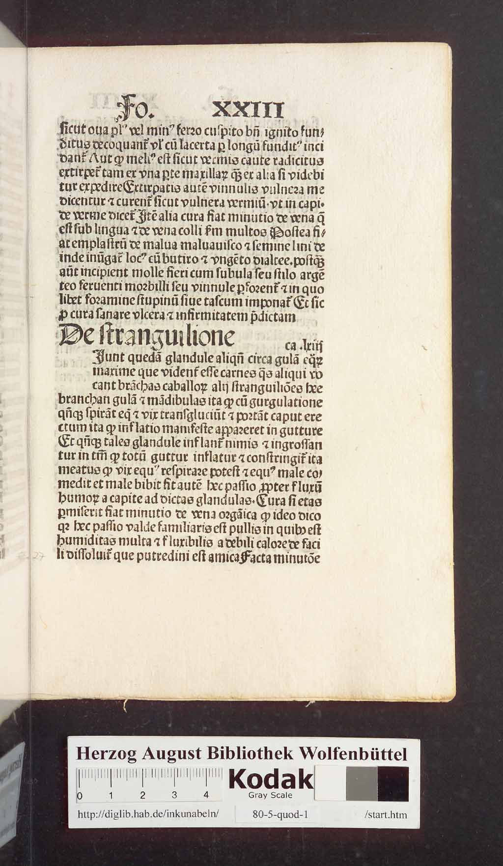 http://diglib.hab.de/inkunabeln/80-5-quod-1/00057.jpg