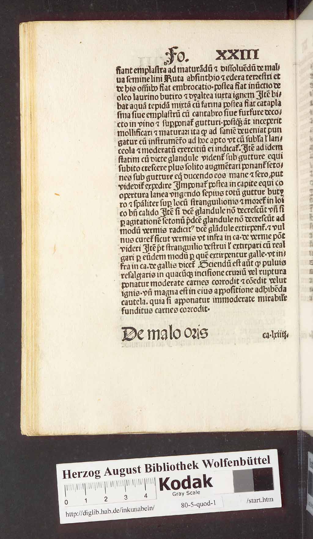 http://diglib.hab.de/inkunabeln/80-5-quod-1/00058.jpg