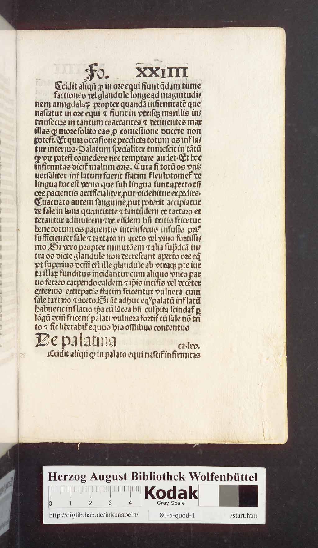 http://diglib.hab.de/inkunabeln/80-5-quod-1/00059.jpg